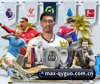 max-qyguo.com.cn APP 界面